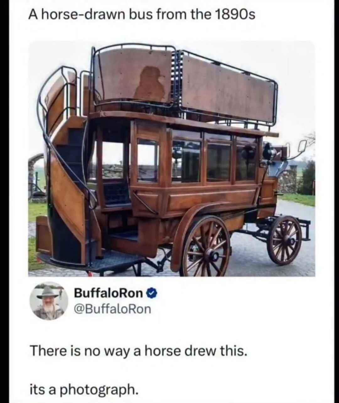 the-horse-must-have-used-ai-for-this.jpg