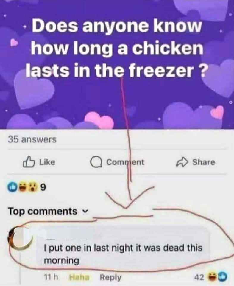 freezer.jpg