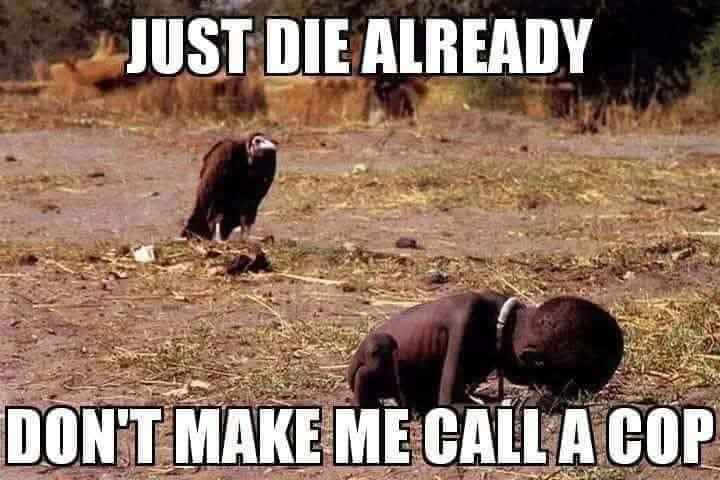 vulture.jpg