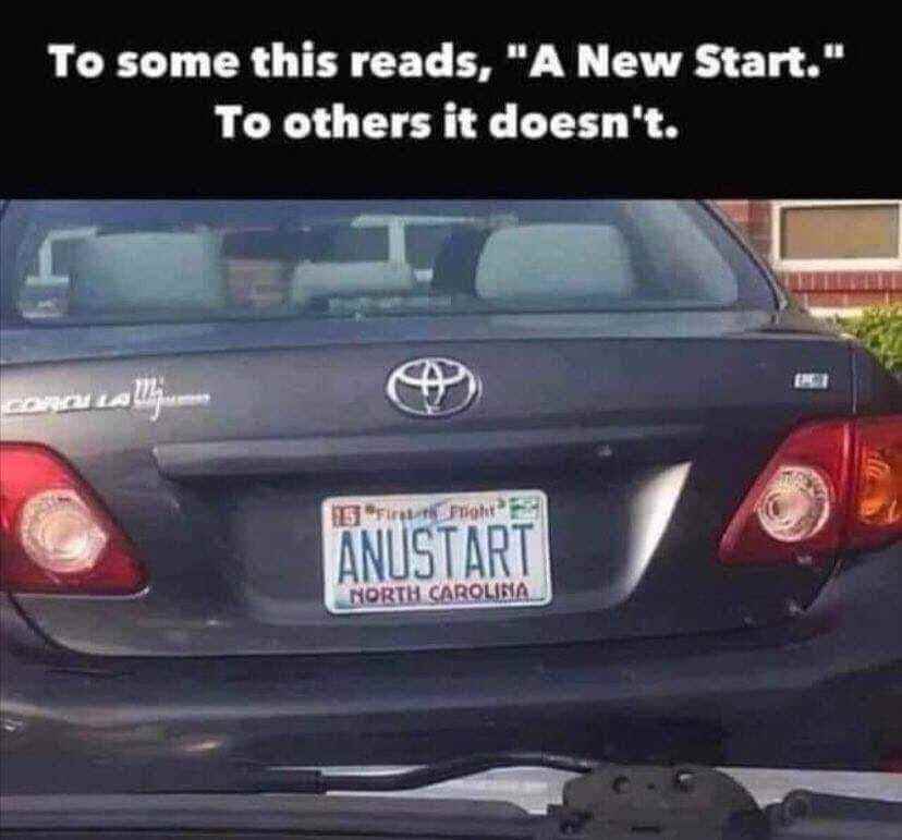 anus_tart.jpg