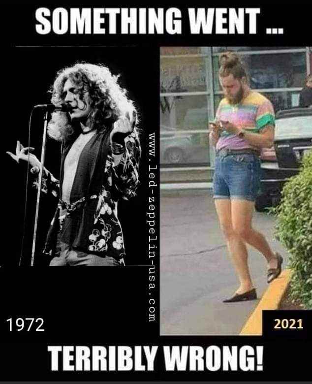 wrong.jpg