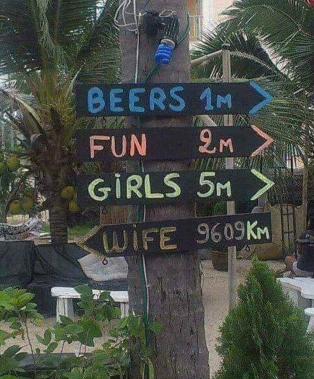 wife.jpg