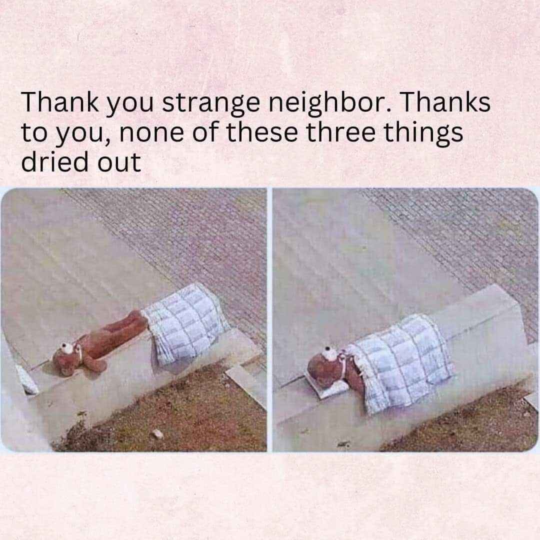 cute.jpg