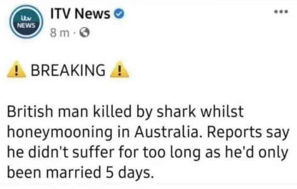 shark.jpg