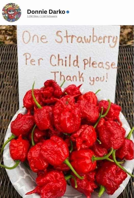 strawberry.jpg