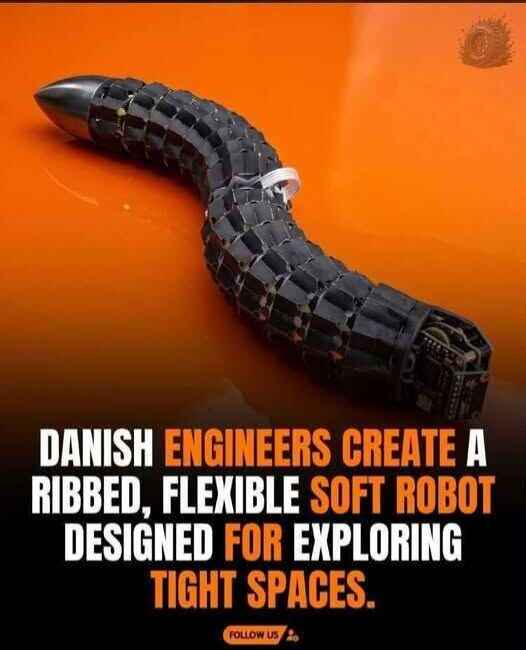 ribbed.jpg