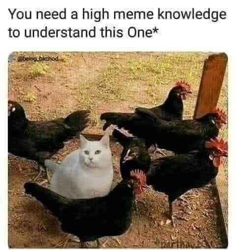 5_guys.jpg