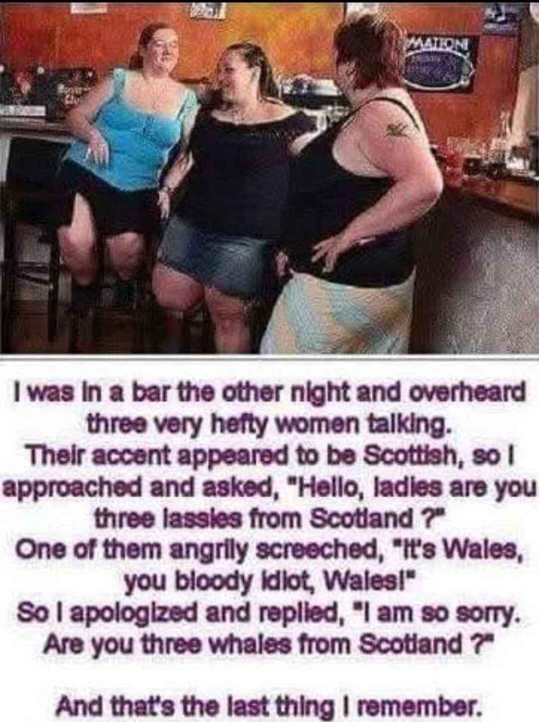 whales.jpg