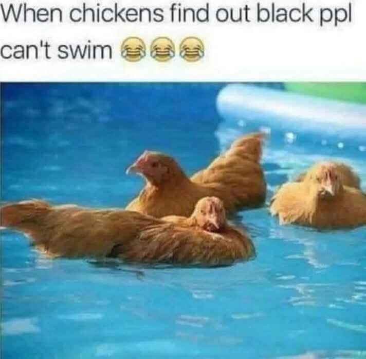 racist_chickens.jpg